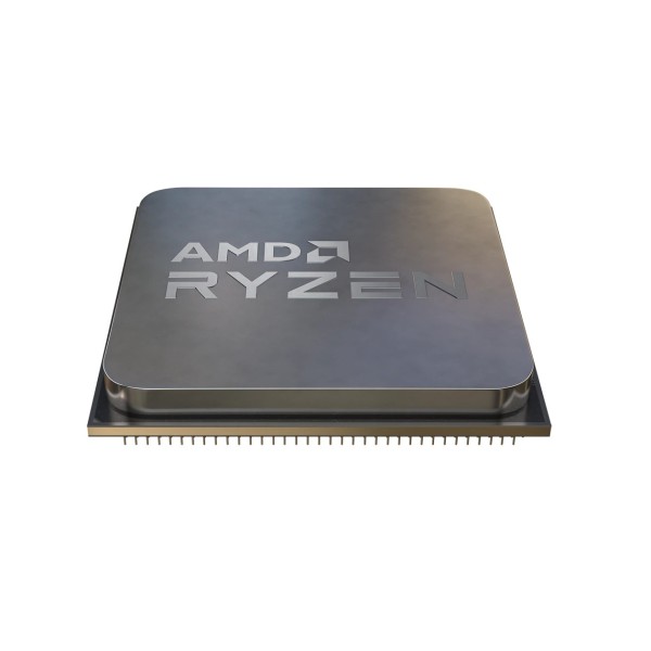 AMD Ryzen 5 5600G processor...