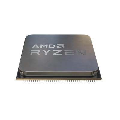 AMD Ryzen 5 5500 processor...