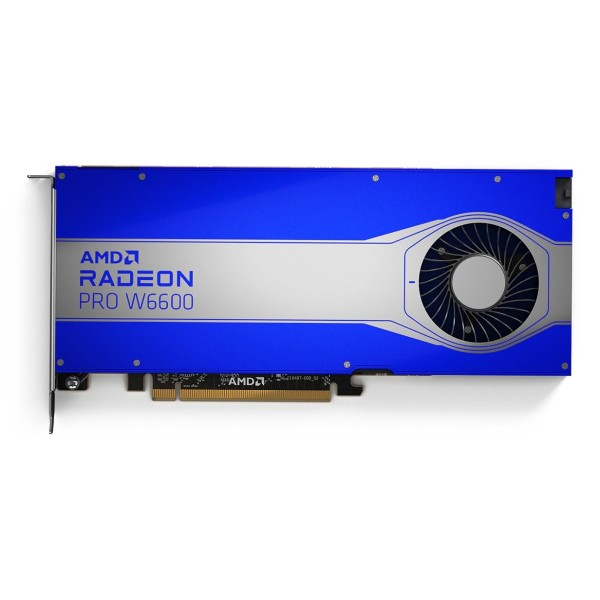AMD Radeon PRO W6000 Radeon...