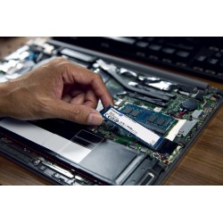 Kingston Technology 2000G...