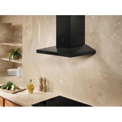 Õhupuhastaja Electrolux,...