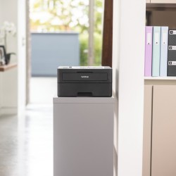 Brother HL-L2460DN laser...