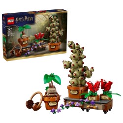 LEGO HARRY POTTER 76474...