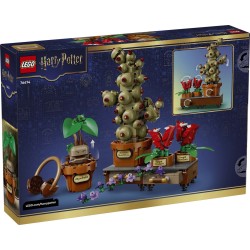 LEGO HARRY POTTER 76474...