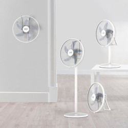 Taurus 4-in-1 cordless fan...