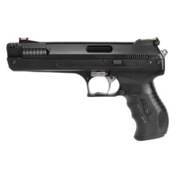 Air Gun BEEMAN USA P17...