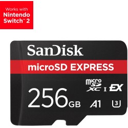 MEMORY MICRO SDXC 256GB...
