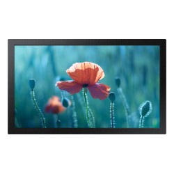DISPLAY LCD 13"...