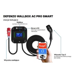 DEFENZO WALLBOX PRO AC22...