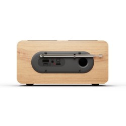 Blaupunkt DR10CR Portable...