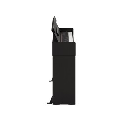 Yamaha ARIUS YDP-S36B -...