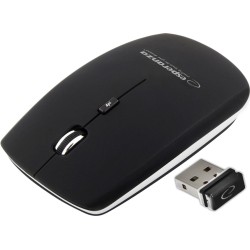 Esperanza EM120K mouse RF...