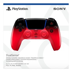 Sony Interactive...