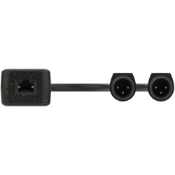 Turtle Dual XLR Output -...