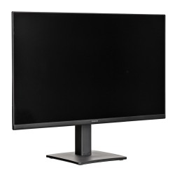 Samsung LS24D304GAUXEN...