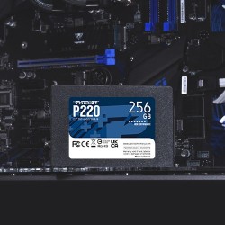 Patriot Memory P220 256GB...