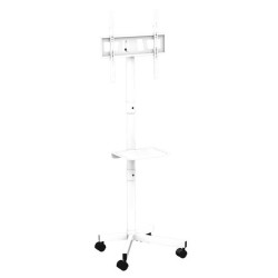 TV SET ACC FLOOR STAND 32-55"/TVS-55T-03-W GEMBIRD