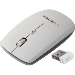 Esperanza EM120W mouse RF...