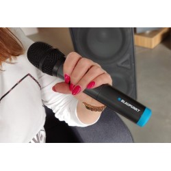 Blaupunkt UHF WM60UDB Dual...