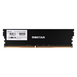 Biostar DDR4 Storming V...