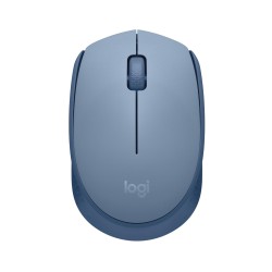 MOUSE USB OPTICAL WRL...
