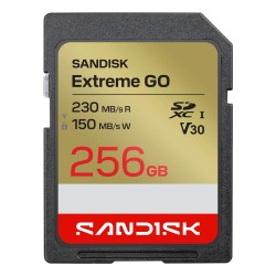 MEMORY SDXC 256GB...