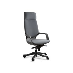 Apollo BL417 office chair –...