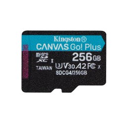 Kingston Technology 256GB...