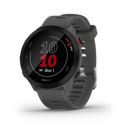 Garmin Forerunner 55 MIP 42...