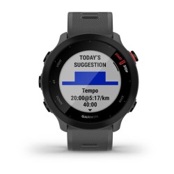 Garmin Forerunner 55 MIP 42...
