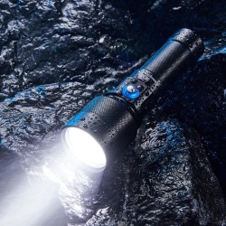 FLASHLIGHT DL SERIES/1100...