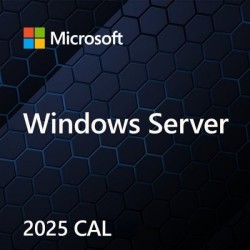 Microsoft Windows Server CAL 2025 Client Access License (CAL) 1 license(s)