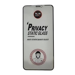 LCD kaitsev karastatud klaas ESD Anti-Static Privacy Samsung S928 S24 Ultra