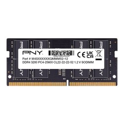 PNY Performance memory...