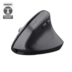 MOUSE USB OPTICAL WRL...
