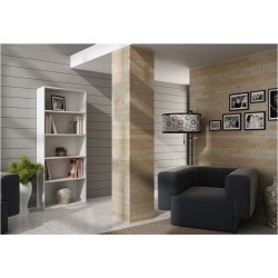 Topeshop R60 BIEL office...