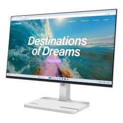 Lenovo L24D-4C computer...
