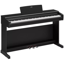 Yamaha ARIUS YDP-146B -...