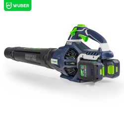 Leaf blower 40V 220 km/h...