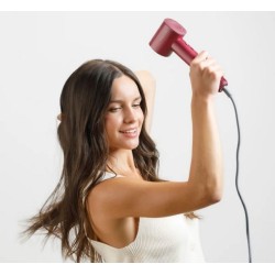 Hair dryer with ionisation...