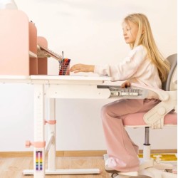 Desk Study 5.0 Pink
