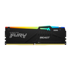 Kingston Technology FURY...