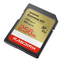 SanDisk Extreme GO 256 GB...
