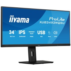 iiyama ProLite...