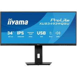 iiyama ProLite...