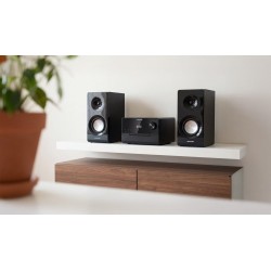 BLAUPUNKT MS49DAB Micro...