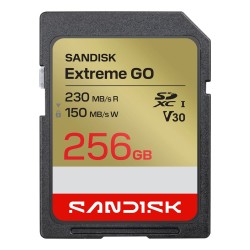 SanDisk Extreme GO 256 GB...